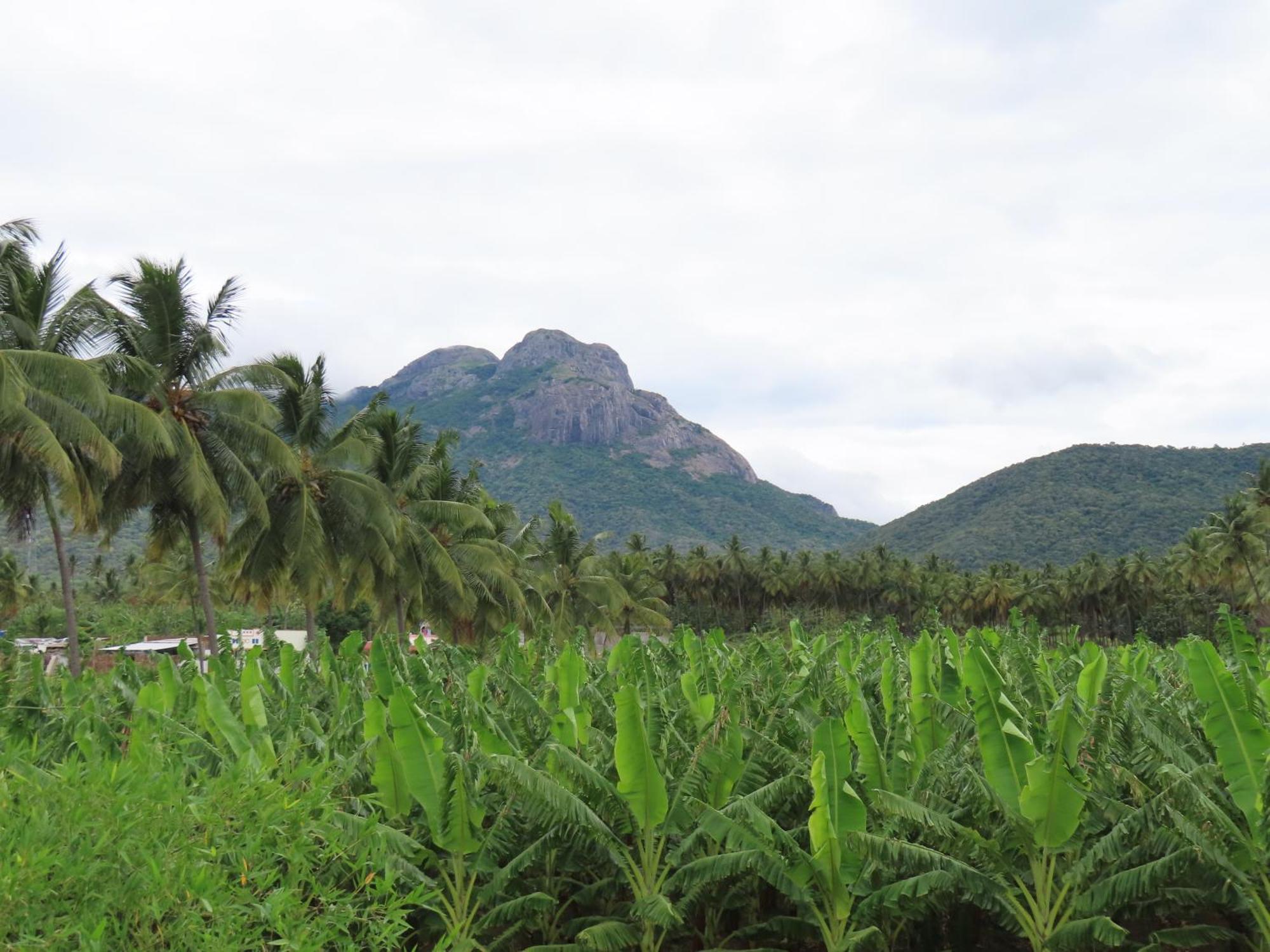 Hotel Misty Hills Retreat Coimbatore Esterno foto